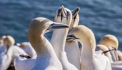 金年会金字招牌诚信至上🏀CUBAL女篮-李欣彤20+6 郭晓妮26+5 中国矿大轻取西安交大