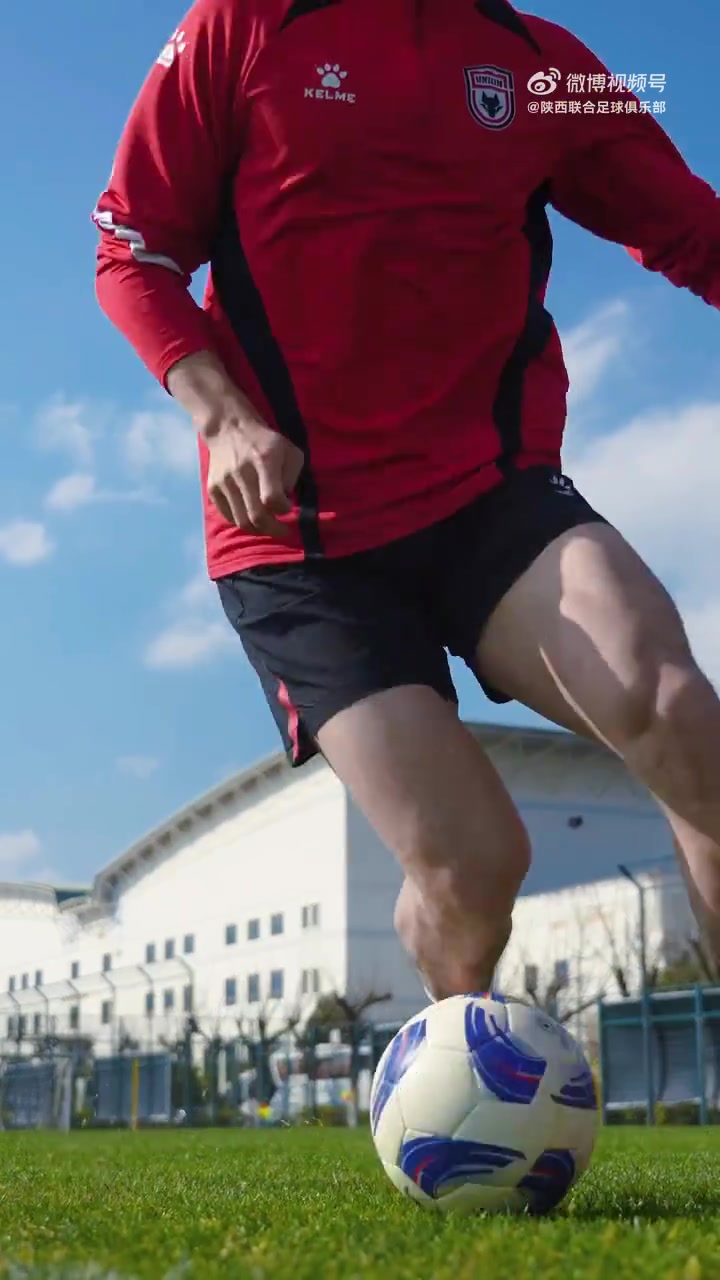 金年会【新援官宣】No:22824会员闫雨入列